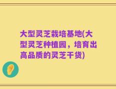 大型灵芝栽培基地(大型灵芝种植园，培育出高品质的灵芝干货)