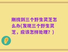 刚找到三个野生灵芝怎么办(发现三个野生灵芝，应该怎样处理？)