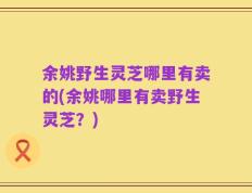 余姚野生灵芝哪里有卖的(余姚哪里有卖野生灵芝？)