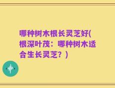 哪种树木根长灵芝好(根深叶茂：哪种树木适合生长灵芝？)