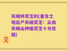 天峨种灵芝的(重生之地出产天峨灵芝：云南天峨山种植灵芝十分优越)