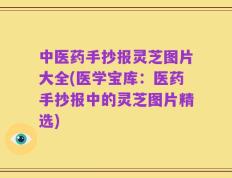 中医药手抄报灵芝图片大全(医学宝库：医药手抄报中的灵芝图片精选)