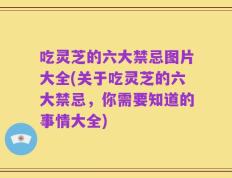 吃灵芝的六大禁忌图片大全(关于吃灵芝的六大禁忌，你需要知道的事情大全)