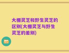 大棚灵芝和野生灵芝的区别(大棚灵芝与野生灵芝的差别)