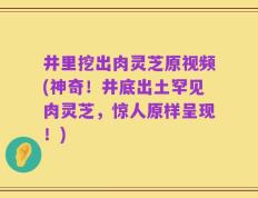 井里挖出肉灵芝原视频(神奇！井底出土罕见肉灵芝，惊人原样呈现！)