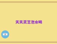 天天灵芝泡水喝