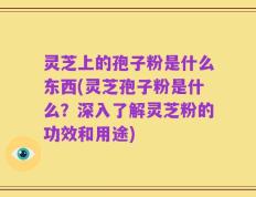 灵芝上的孢子粉是什么东西(灵芝孢子粉是什么？深入了解灵芝粉的功效和用途)