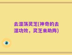 去湿荡灵芝(神奇的去湿功效，灵芝来助阵)