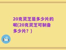 20克灵芝是多少片的呢(20克灵芝可制备多少片？)