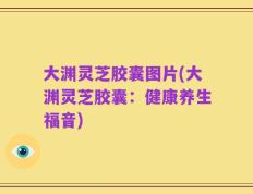 大渊灵芝胶囊图片(大渊灵芝胶囊：健康养生福音)