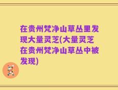 在贵州梵净山草丛里发现大量灵芝(大量灵芝在贵州梵净山草丛中被发现)