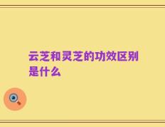 云芝和灵芝的功效区别是什么
