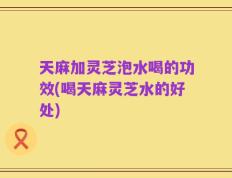 天麻加灵芝泡水喝的功效(喝天麻灵芝水的好处)