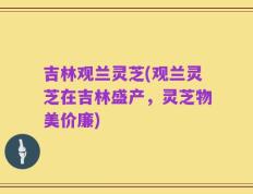 吉林观兰灵芝(观兰灵芝在吉林盛产，灵芝物美价廉)
