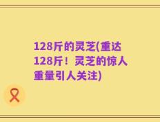 128斤的灵芝(重达128斤！灵芝的惊人重量引人关注)
