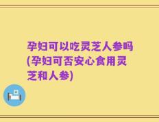 孕妇可以吃灵芝人参吗(孕妇可否安心食用灵芝和人参)