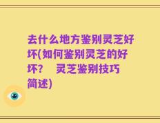 去什么地方鉴别灵芝好坏(如何鉴别灵芝的好坏？  灵芝鉴别技巧简述)