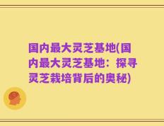 国内最大灵芝基地(国内最大灵芝基地：探寻灵芝栽培背后的奥秘)