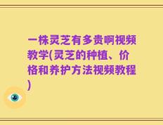 一株灵芝有多贵啊视频教学(灵芝的种植、价格和养护方法视频教程)