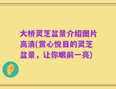 大桥灵芝盆景介绍图片高清(赏心悦目的灵芝盆景，让你眼前一亮)