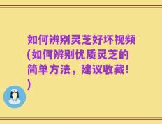 如何辨别灵芝好坏视频(如何辨别优质灵芝的简单方法，建议收藏！)