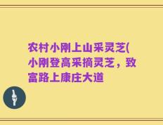 农村小刚上山采灵芝(小刚登高采摘灵芝，致富路上康庄大道
