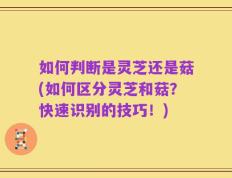 如何判断是灵芝还是菇(如何区分灵芝和菇？快速识别的技巧！)