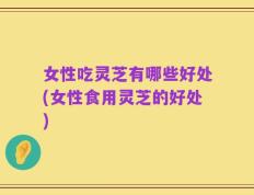 女性吃灵芝有哪些好处(女性食用灵芝的好处)