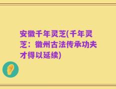 安徽千年灵芝(千年灵芝：徽州古法传承功夫才得以延续)
