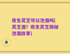夜生灵芝可以泡酒吗(灵芝酒？夜生灵芝探秘泡酒故事)