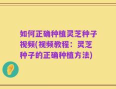 如何正确种植灵芝种子视频(视频教程：灵芝种子的正确种植方法)