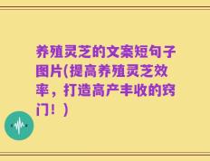 养殖灵芝的文案短句子图片(提高养殖灵芝效率，打造高产丰收的窍门！)