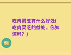 吃肉灵芝有什么好处(吃肉灵芝的益处，你知道吗？)
