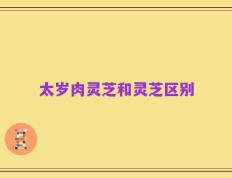 太岁肉灵芝和灵芝区别