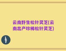 云南野生松针灵芝(云南出产珍稀松针灵芝)