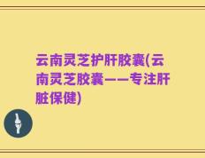 云南灵芝护肝胶囊(云南灵芝胶囊——专注肝脏保健)