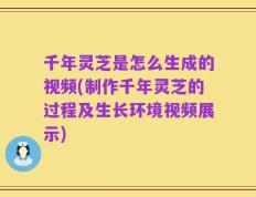 千年灵芝是怎么生成的视频(制作千年灵芝的过程及生长环境视频展示)