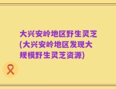 大兴安岭地区野生灵芝(大兴安岭地区发现大规模野生灵芝资源)