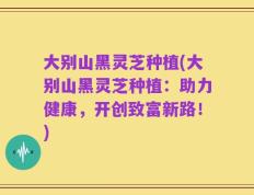 大别山黑灵芝种植(大别山黑灵芝种植：助力健康，开创致富新路！)