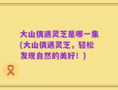 大山偶遇灵芝是哪一集(大山偶遇灵芝，轻松发现自然的美好！)
