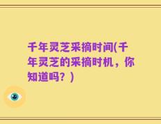 千年灵芝采摘时间(千年灵芝的采摘时机，你知道吗？)