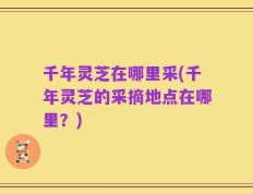 千年灵芝在哪里采(千年灵芝的采摘地点在哪里？)