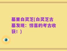 墓里白灵芝(白灵芝古墓发现：惊喜的考古收获！)