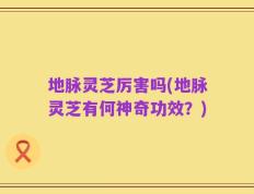 地脉灵芝厉害吗(地脉灵芝有何神奇功效？)
