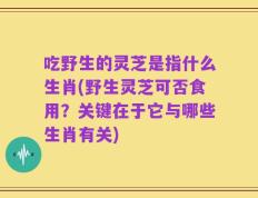 吃野生的灵芝是指什么生肖(野生灵芝可否食用？关键在于它与哪些生肖有关)