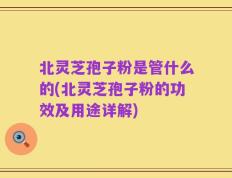北灵芝孢子粉是管什么的(北灵芝孢子粉的功效及用途详解)