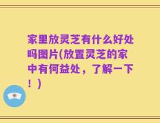 家里放灵芝有什么好处吗图片(放置灵芝的家中有何益处，了解一下！)
