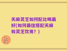 天麻灵芝如何配比喝最好(如何最佳搭配天麻和灵芝饮用？)