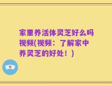 家里养活体灵芝好么吗视频(视频：了解家中养灵芝的好处！)
