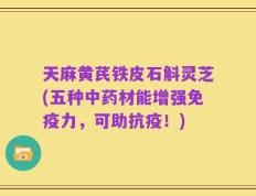 天麻黄芪铁皮石斛灵芝(五种中药材能增强免疫力，可助抗疫！)
